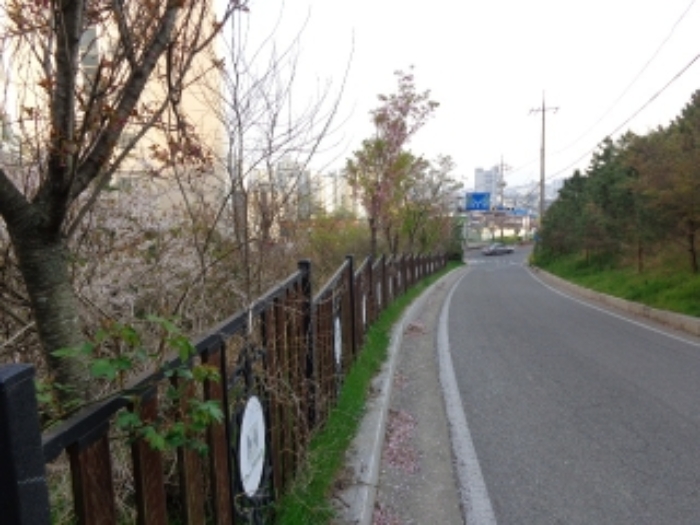 물건 사진 25