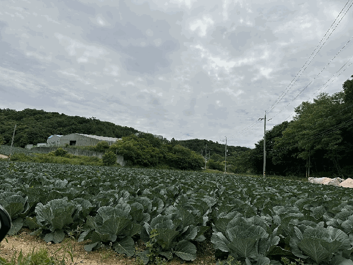 물건 사진 109