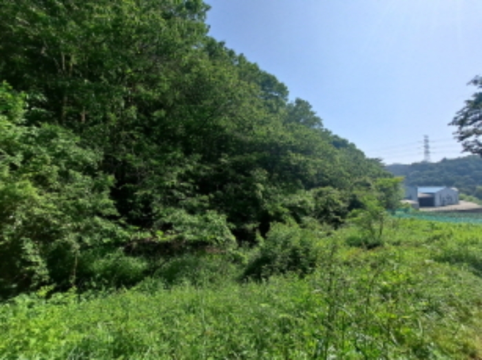 물건 사진 78