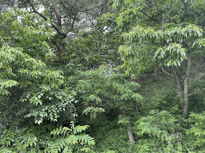 물건 사진 90