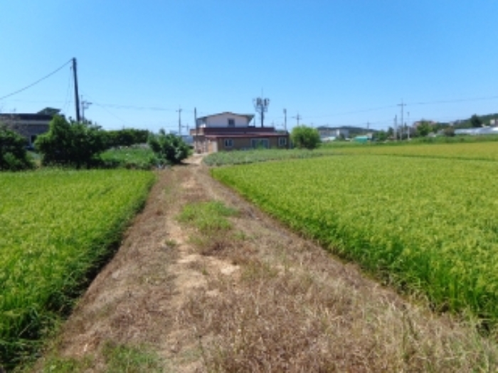 물건 사진 3