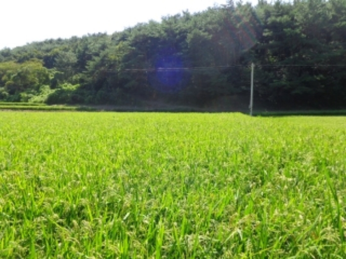 물건 사진 27