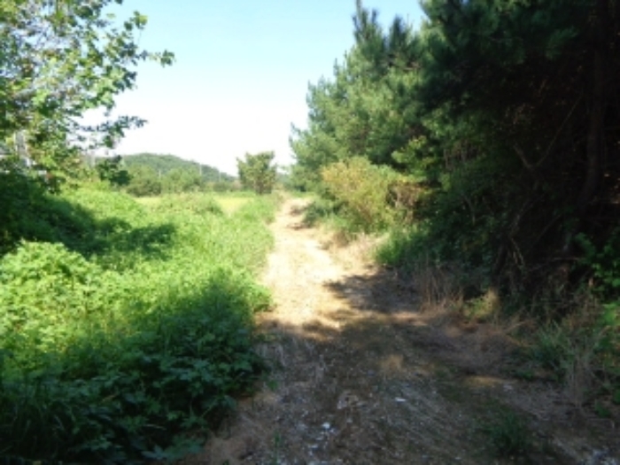 물건 사진 29