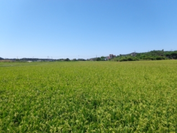 물건 사진 35