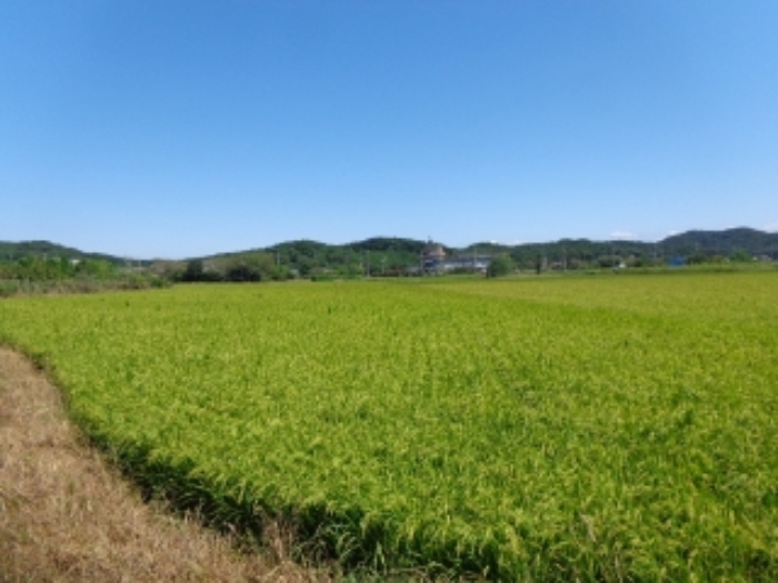 물건 사진 37