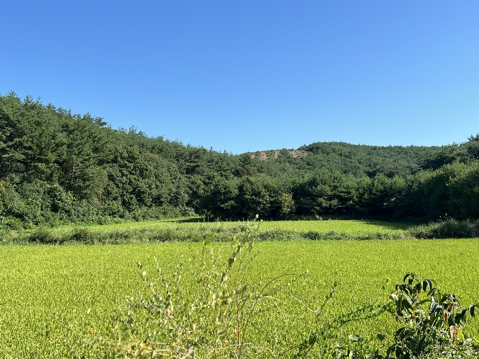 물건 사진 69