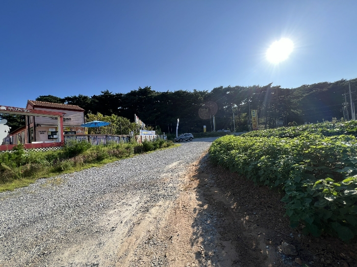 물건 사진 81