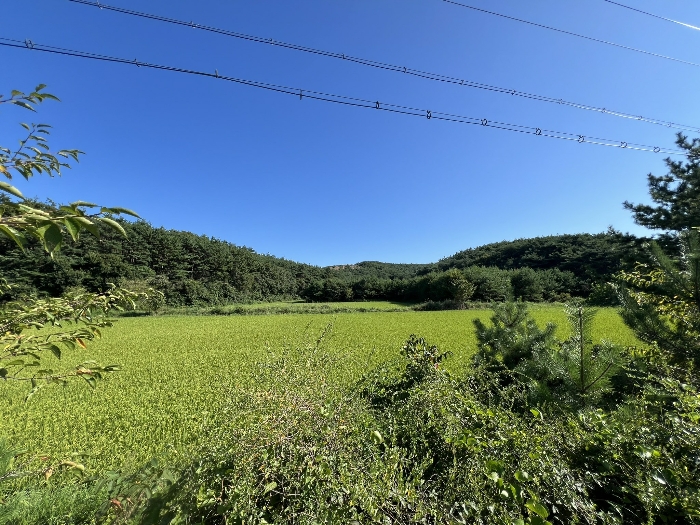 물건 사진 96