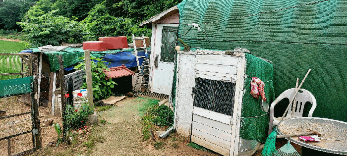 물건 사진 59
