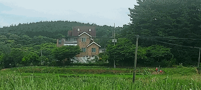 물건 사진 79