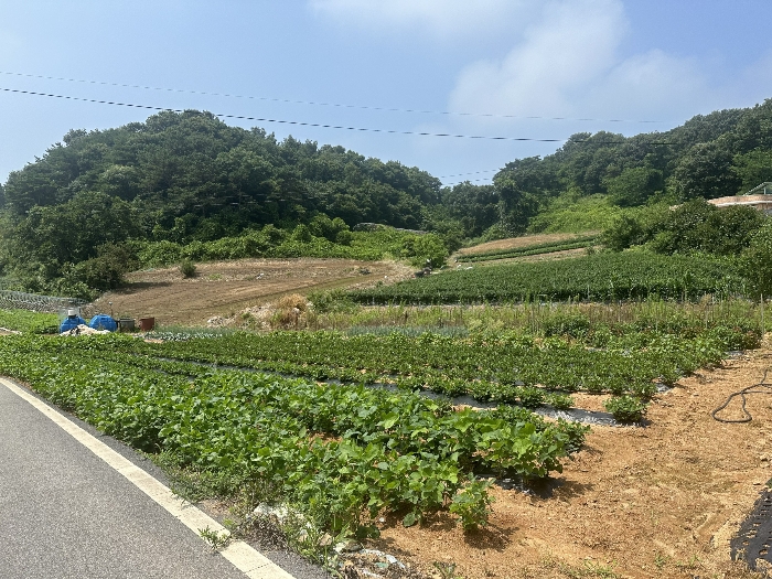 물건 사진 23