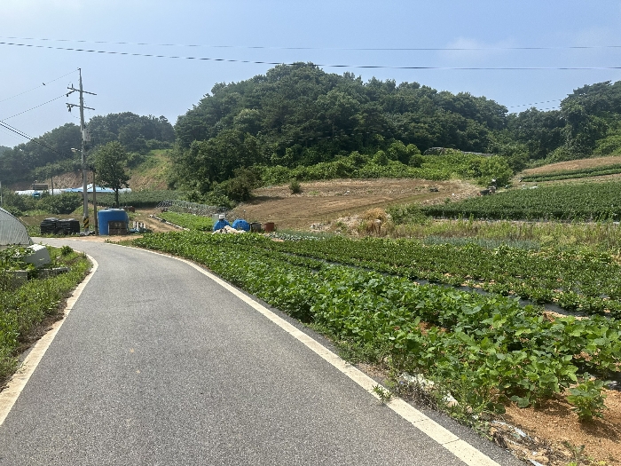 물건 사진 34