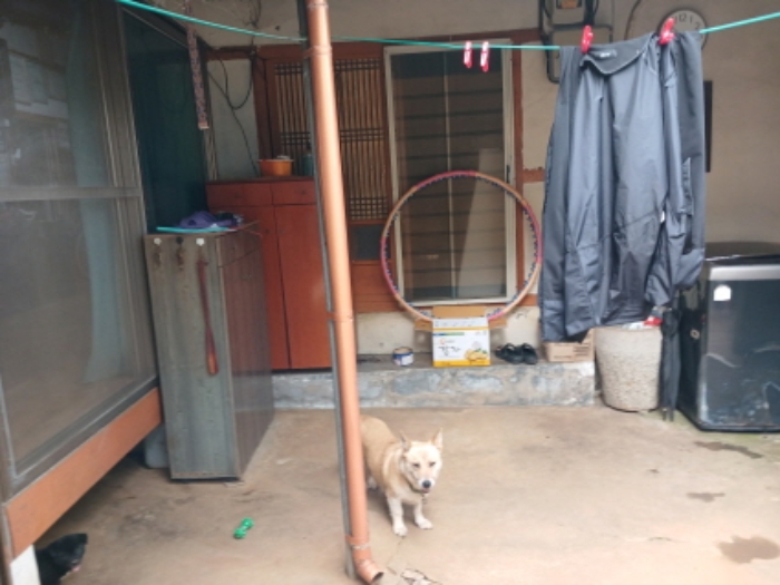 물건 사진 5
