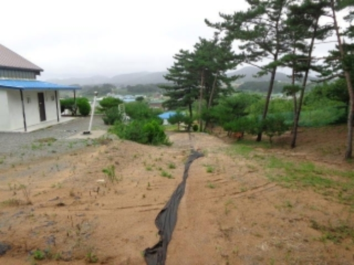 물건 사진 12