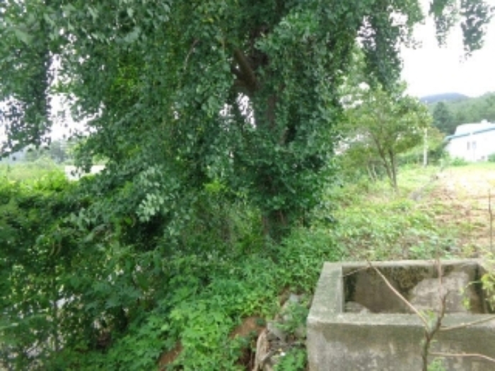 물건 사진 28