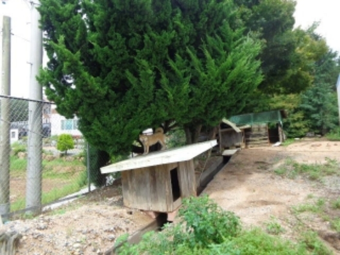 물건 사진 30