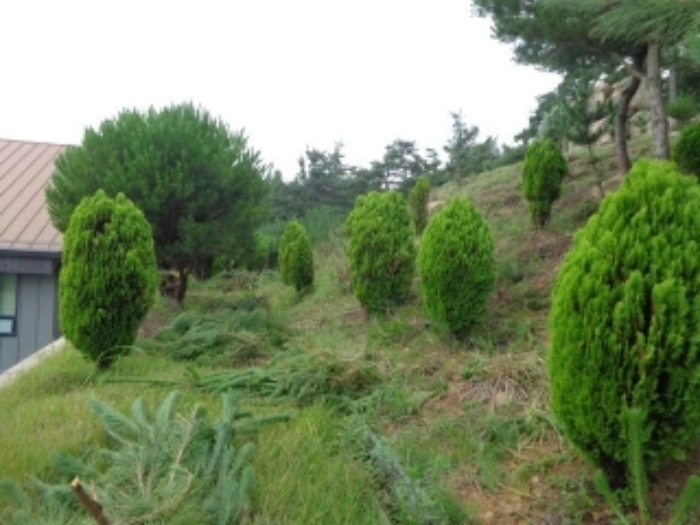 물건 사진 37