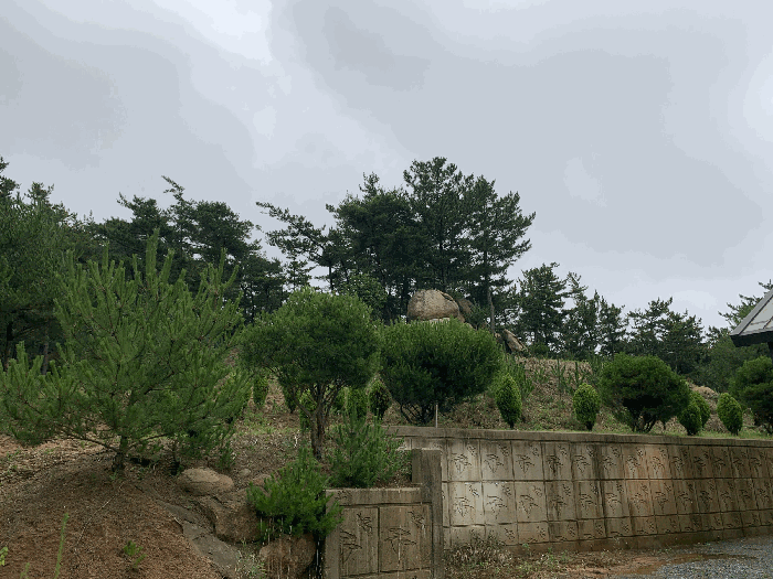 물건 사진 54