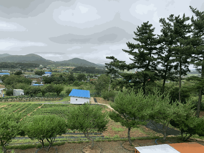 물건 사진 57