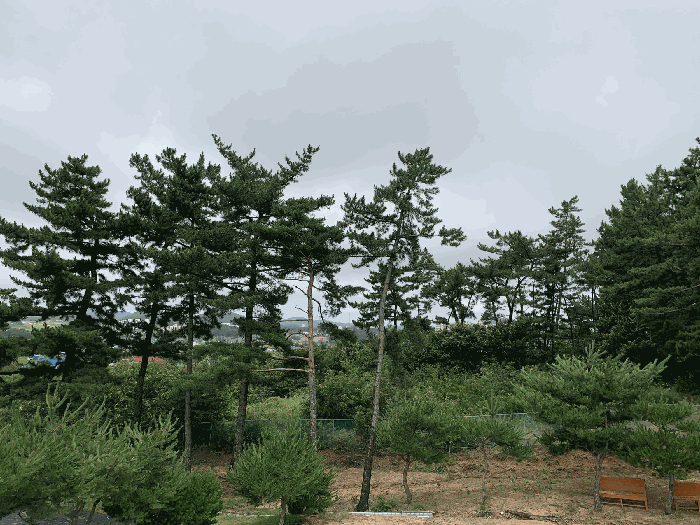 물건 사진 66