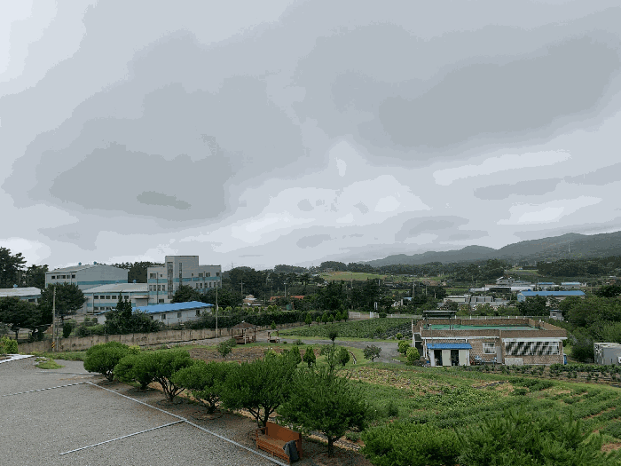 물건 사진 74