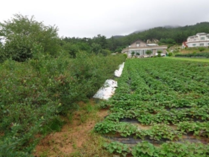 물건 사진 9