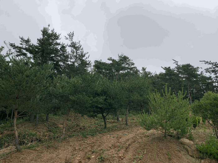 물건 사진 82