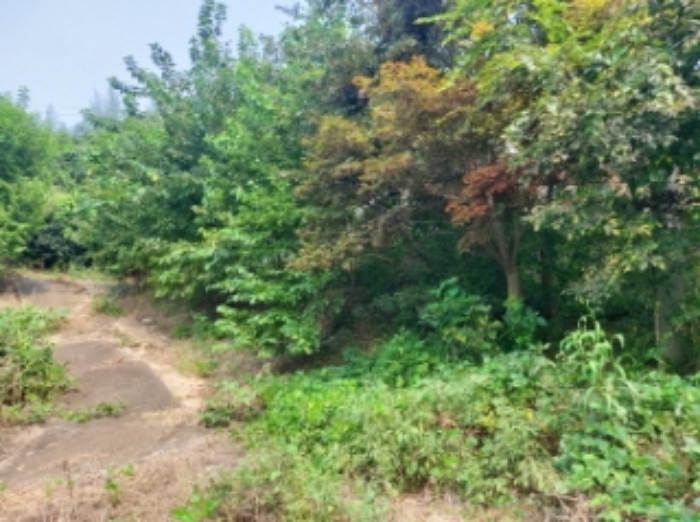 물건 사진 13