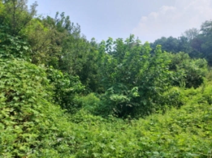 물건 사진 14