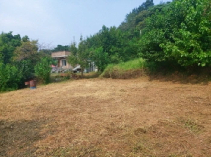 물건 사진 18