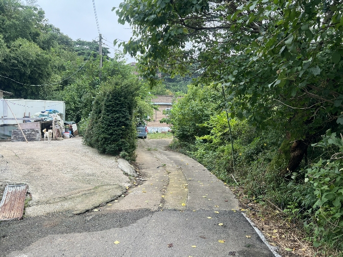 물건 사진 43