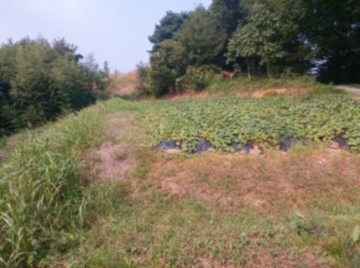 물건 사진 8