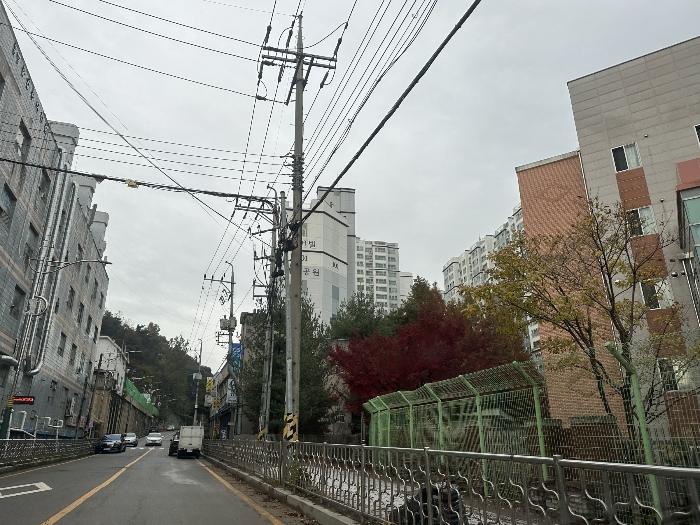 물건 사진 12
