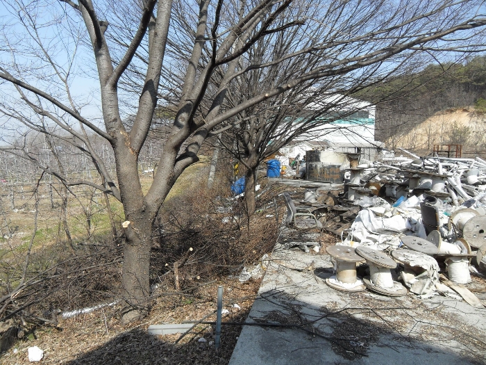 물건 사진 119