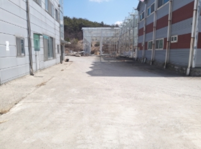 물건 사진 54