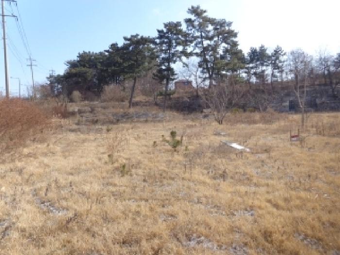 물건 사진 11