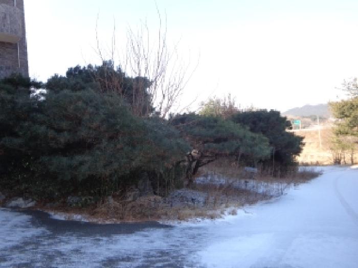 물건 사진 4