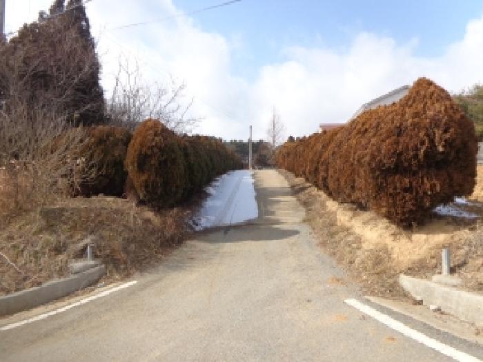 물건 사진 16