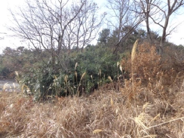 물건 사진 27