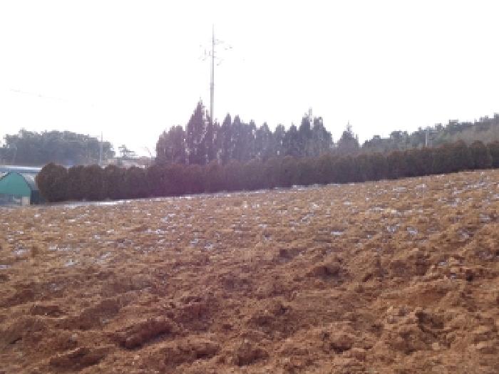 물건 사진 29