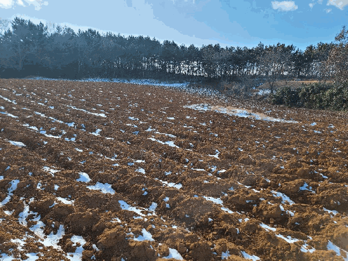 물건 사진 35