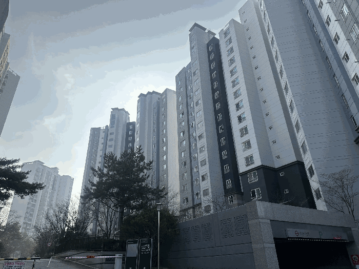 물건 사진 12