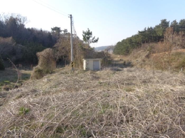 물건 사진 21