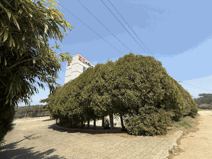 물건 사진 32