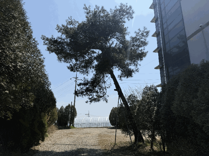 물건 사진 41