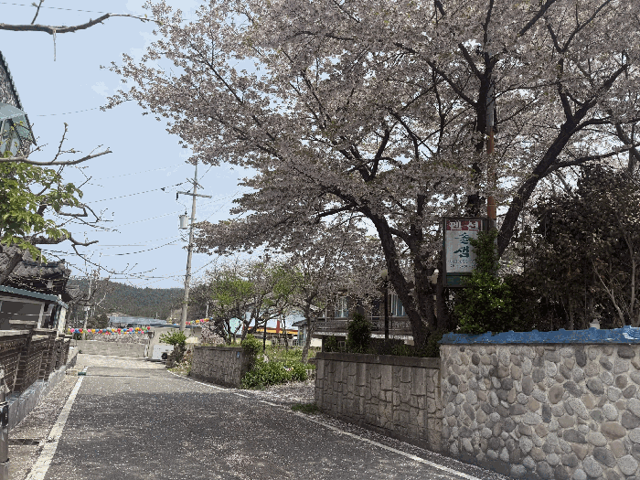 물건 사진 21