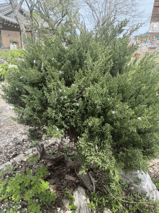 물건 사진 23