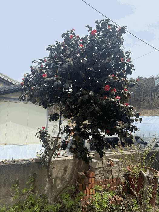 물건 사진 28