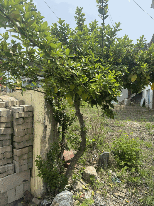 물건 사진 29