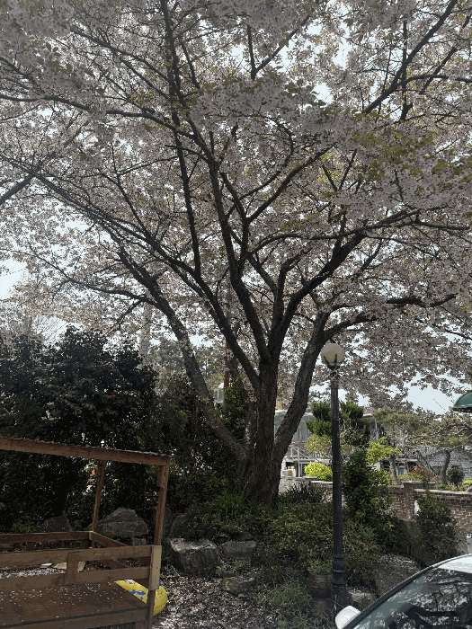 물건 사진 33
